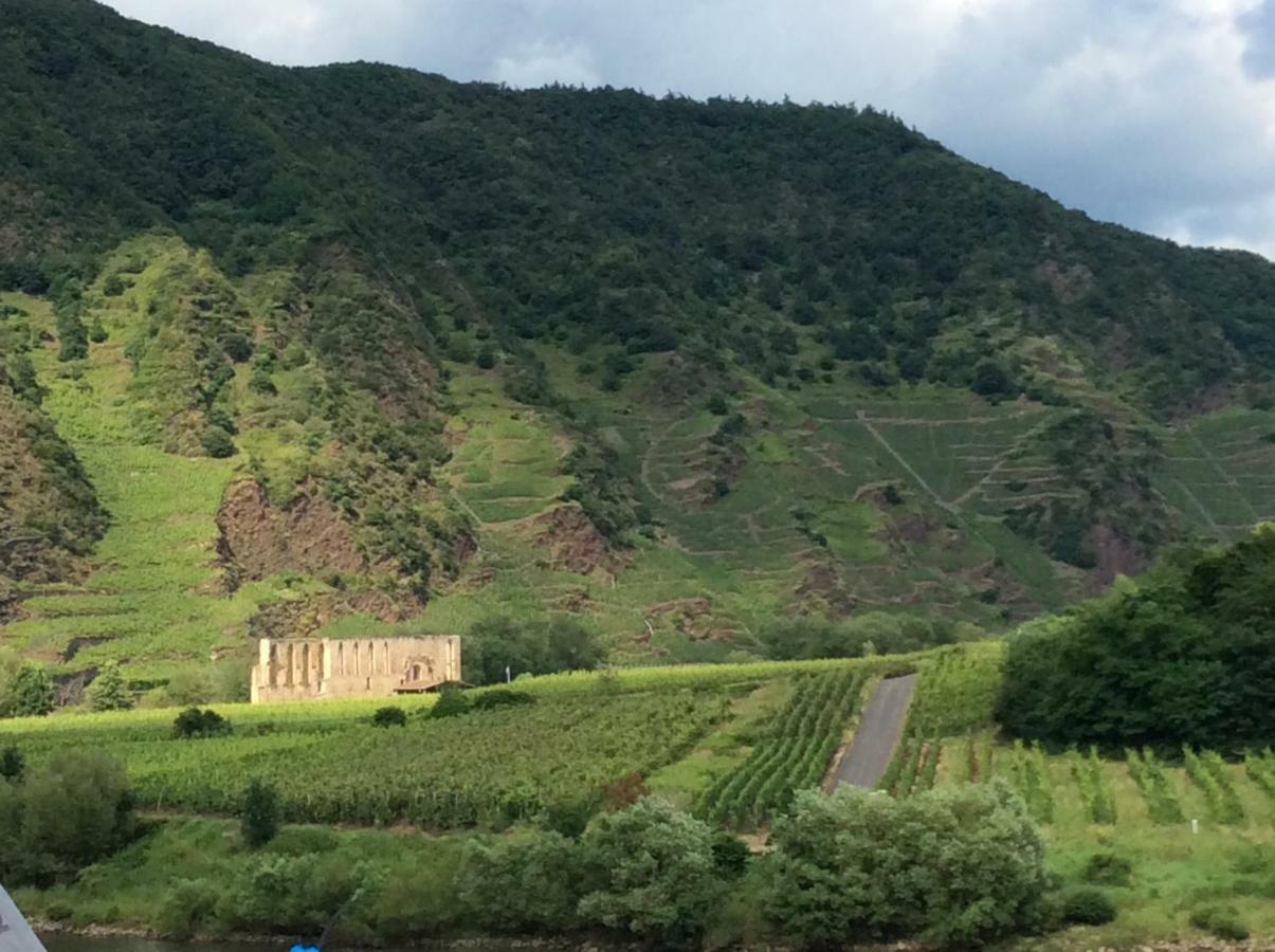 Storchenhaus Bremm Villa ภายนอก รูปภาพ